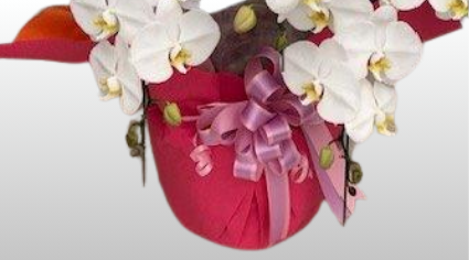 メッセージカード